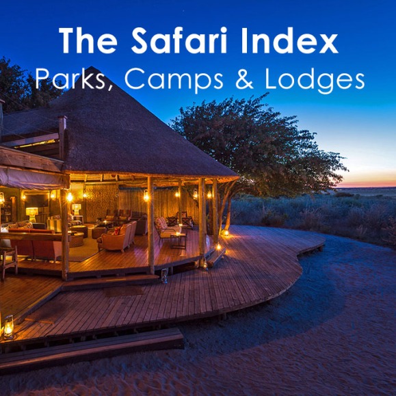 Safari-Index-Home-banner.jpg